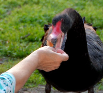 bread 5-13-2014 7-50-20 PM