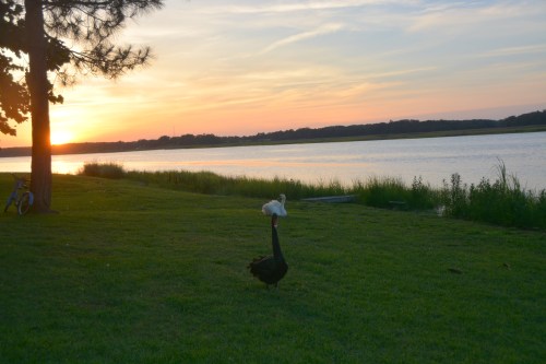 bride groom sun 6-23-2014 8-21-07 PM