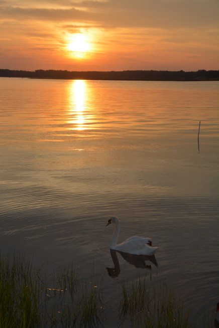 bride2 5-26-2014 7-56-45 PM