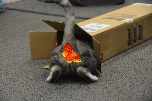 censored1 6-9-2014 12-05-21 PM