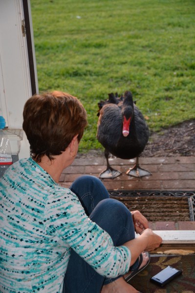 db adn groom 5-13-2014 7-49-22 PM