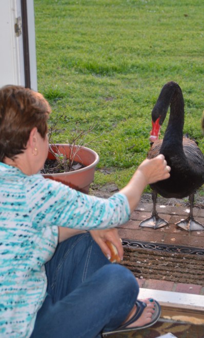 db and groom2 5-13-2014 7-50-06 PM