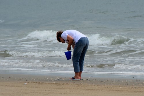 db shelling1 6-21-2014 10-48-54 AM