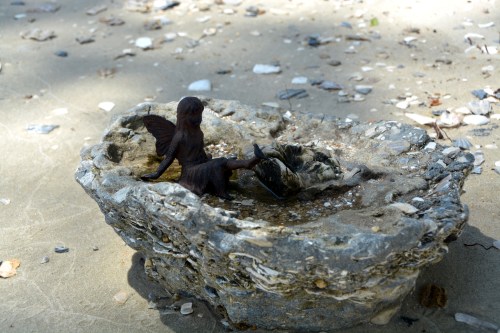 fairybowl 6-7-2014 11-02-35 AM