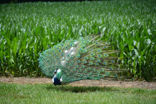 george 6-12-2014 12-25-34 PM