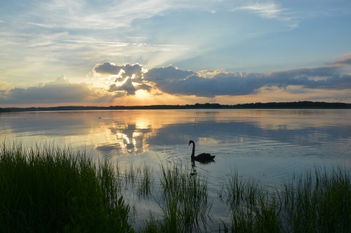 groom 6-24-2014 7-49-59 PM