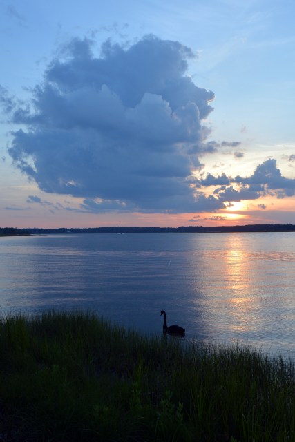 groom and clouds 6-10-2014 8-06-02 PM
