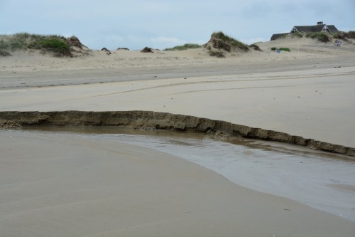 gully 6-21-2014 8-20-15 AM