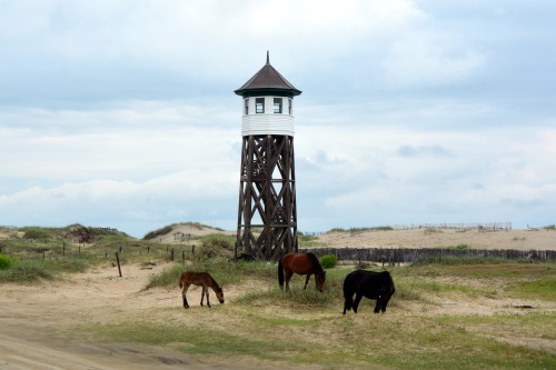 horses at coast guard station 6-21-2014 8-27-42 AM