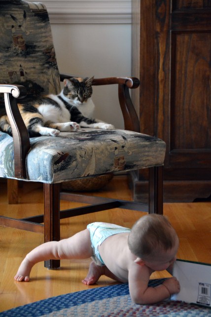 liftoff 6-2-2014 2-39-10 PM