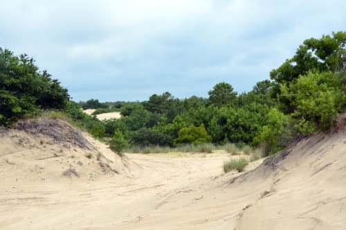 off road 6-21-2014 11-14-40 AM