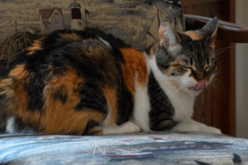 sundaes tongue 6-15-2014 9-48-08 AM