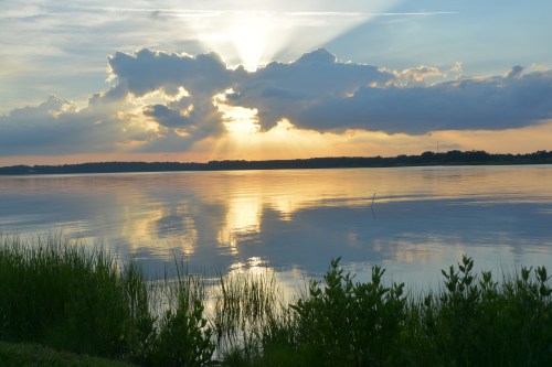 sunset and grass 6-24-2014 7-46-43 PM