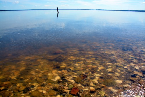 underwater shells1 6-7-2014 10-05-43 AM 6-7-2014 10-05-43 AM