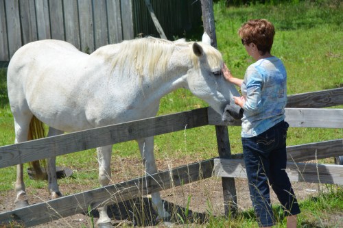 db and aggie 7-6-2014 11-49-11 AM
