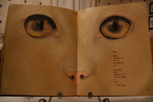 eyes 7-9-2014 7-38-56 PM