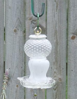 glass birdfeeder