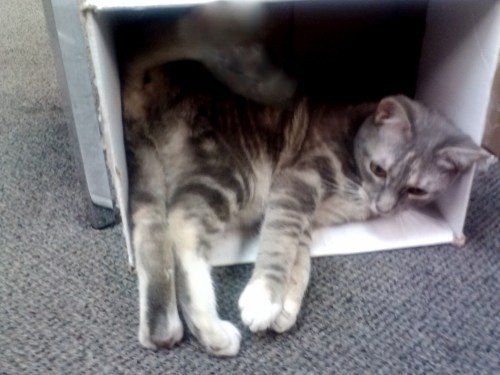 gyp 7-14-2014 6-18-08 PM