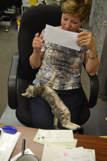 gypsy lap 8-22-2013 7-02-11 PM