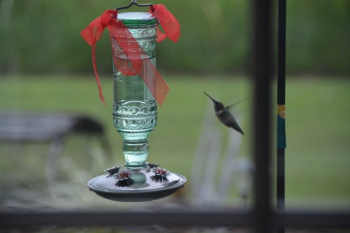 hummer 7-10-2014 1-40-39 PM