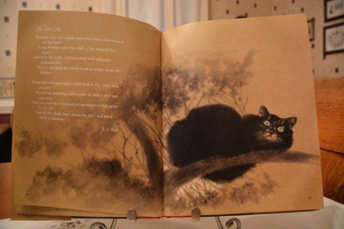 lost 7-9-2014 7-41-38 PM