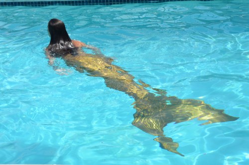 mermaid 7-12-2014 2-25-27 PM
