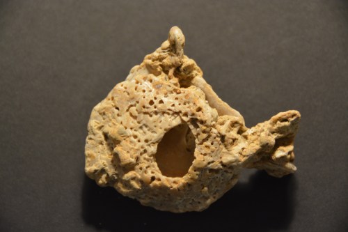 rockfish back 7-29-2014 8-20-58 PM