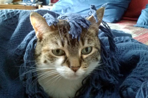 sundae blanket 7-1-2014 3-47-07 PM