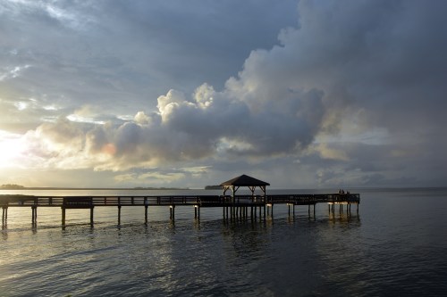 walk in golden hour 7-22-2014 7-41-03 PM
