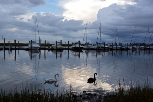 bride and groom 8-12-2014 7-23-10 PM