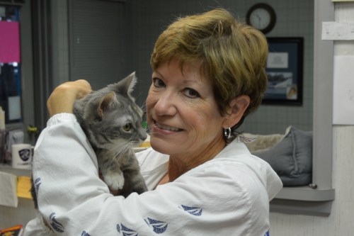 db and gypsy 8-18-2014 10-32-29 AM