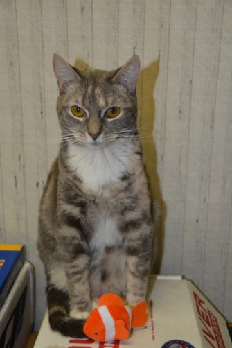 gypsy and fish 8-18-2014 12-19-47 PM