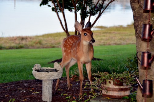 last 8-5-2014 7-51-17 PM