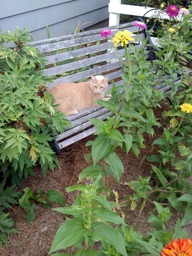 snugg 8-14-2014 8-54-08 PM