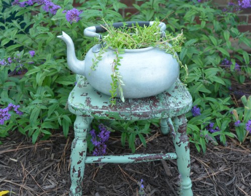 that old moss 8-17-2014 3-09-09 PM 8-17-2014 3-09-09 PM