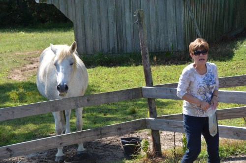 db yuck 9-22-2014 1-37-41 PM