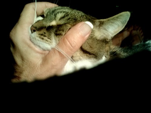 sundae massage 9-12-2014 7-48-17 PM