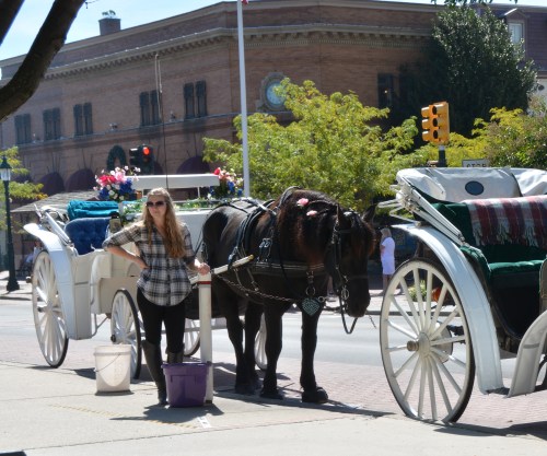 devon horse and carriages 9-28-2014 12-34-30 PM