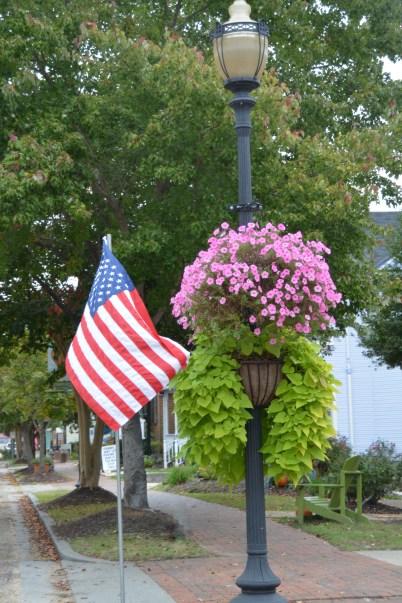 flower planter on main st 10-12-2014 10-34-57 AM
