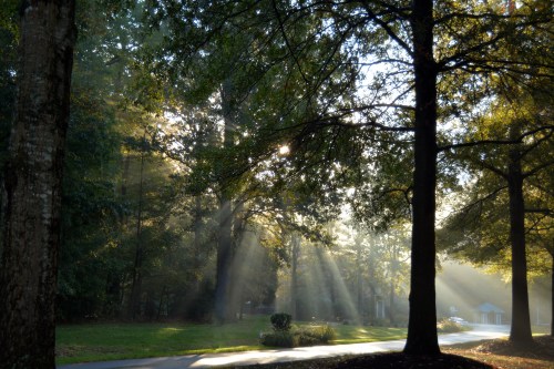 rays1 10-30-2014 8-31-48 AM