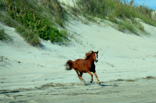 running 10-4-2014 1-39-57 PM