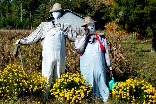 s crow3 10-20-2014 2-51-14 PM