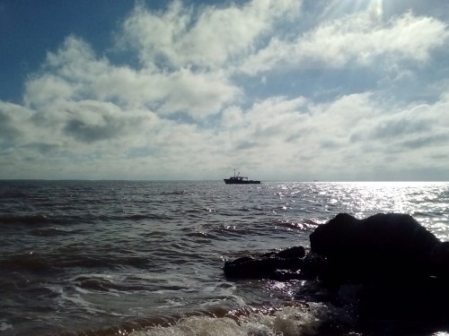 workboat 9-26-2014 9-12-09 AM