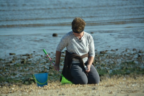 bev - combing 11-20-2014 1-55-38 PM