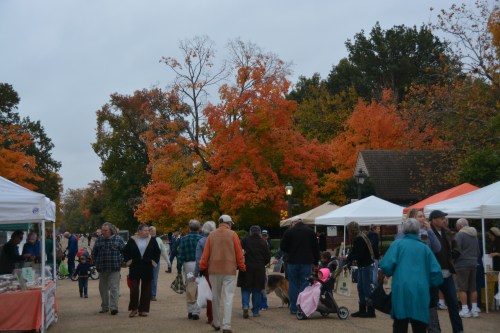 foliage 11-1-2014 9-23-14 AM