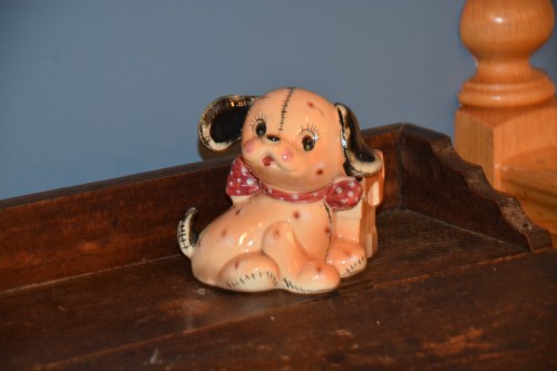 puppy closeup 11-25-2014 5-57-00 PM