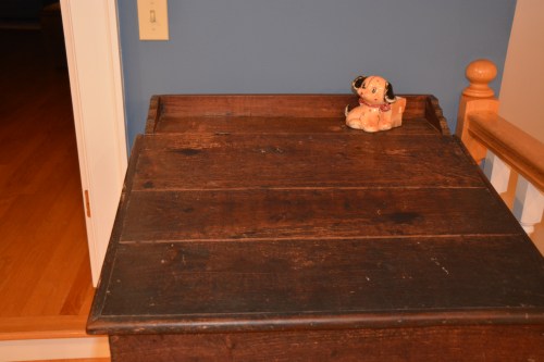 puppy on desk 11-25-2014 5-57-13 PM