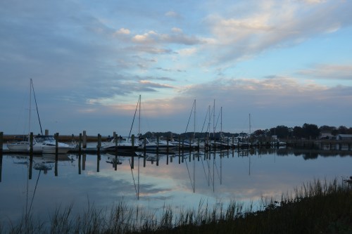 reflection 11-9-2014 5-42-48 PM