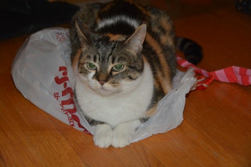 sundae straight 11-17-2014 7-56-23 PM