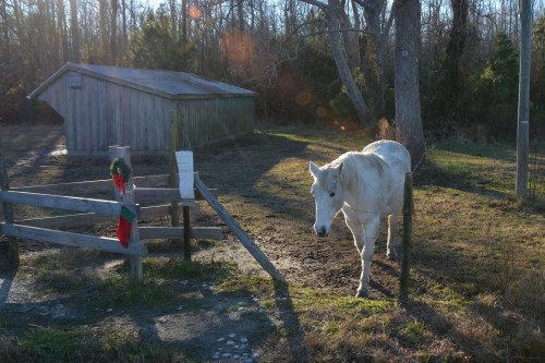 bye 12-27-2014 3-25-29 PM